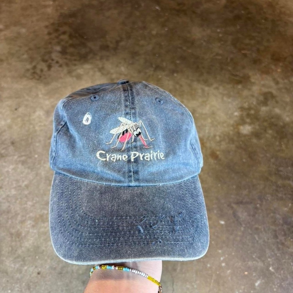 Vintage y2k Crane Prairie blue baseball cap
